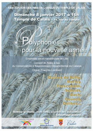 concert-au-temple-de-calais-8-janvier-2017-web